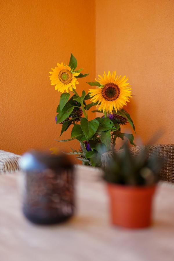 Maslina & Lavanda Apartment Подстрана Екстериор снимка