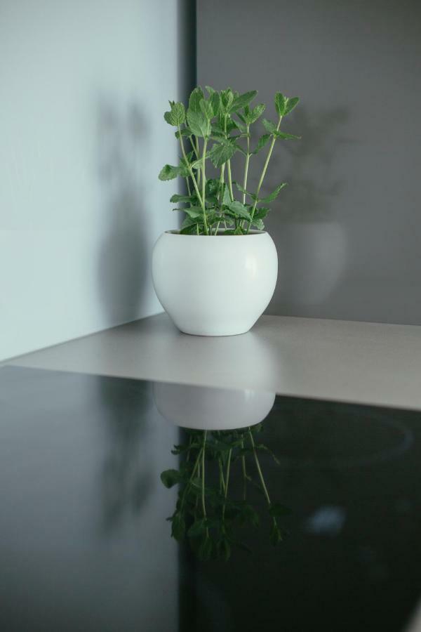 Maslina & Lavanda Apartment Подстрана Екстериор снимка